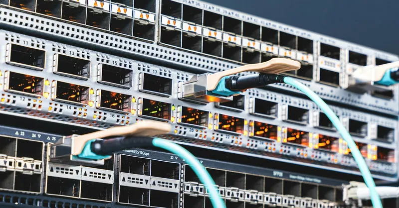 Network cables connected to a server switch