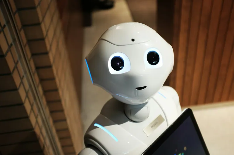 A humanoid service robot